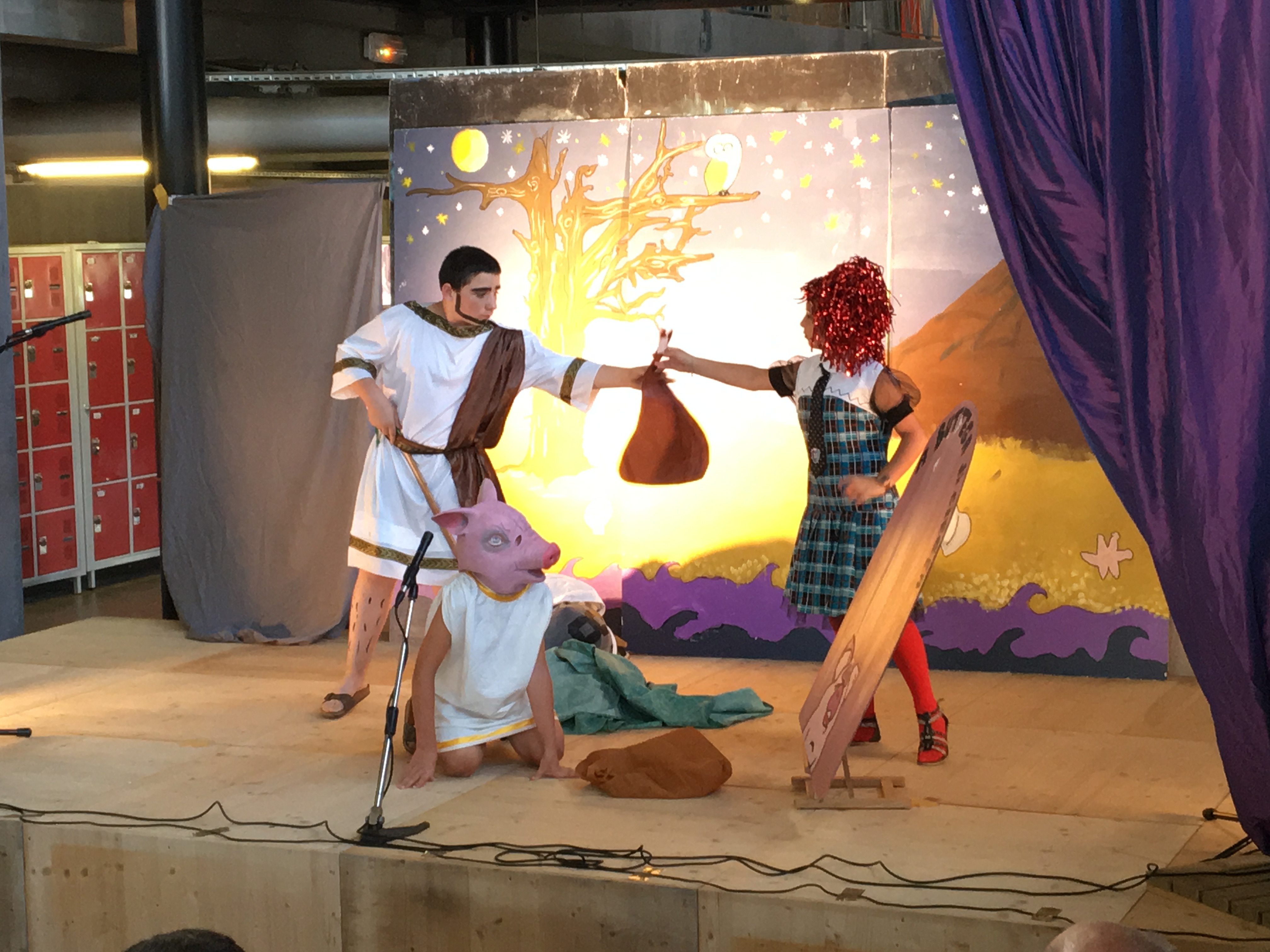 Teatru in cullegiu !