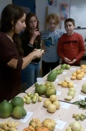 Festa di a nazione in Biguglia