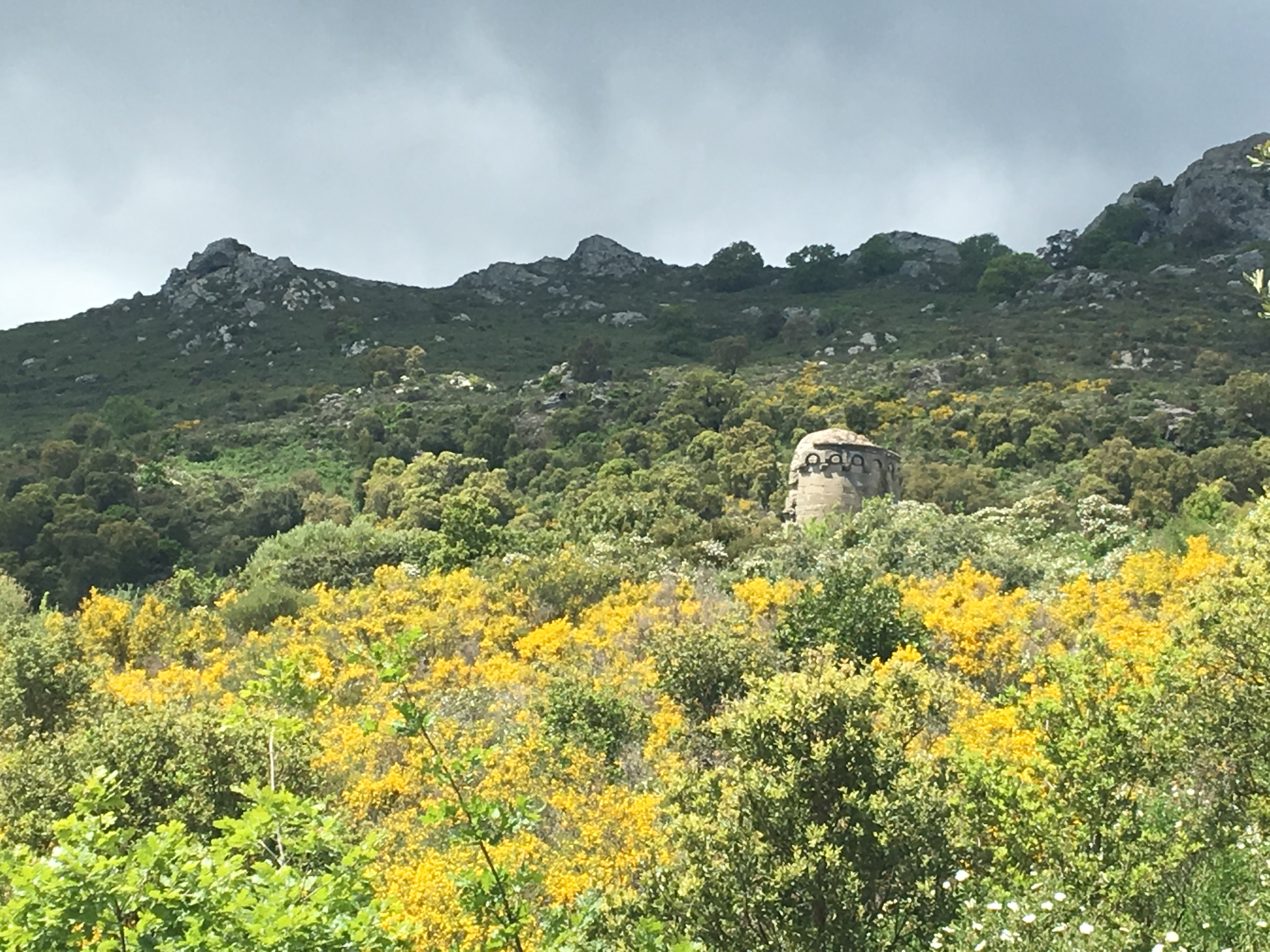 A cappella Sant'Andria in Biguglia