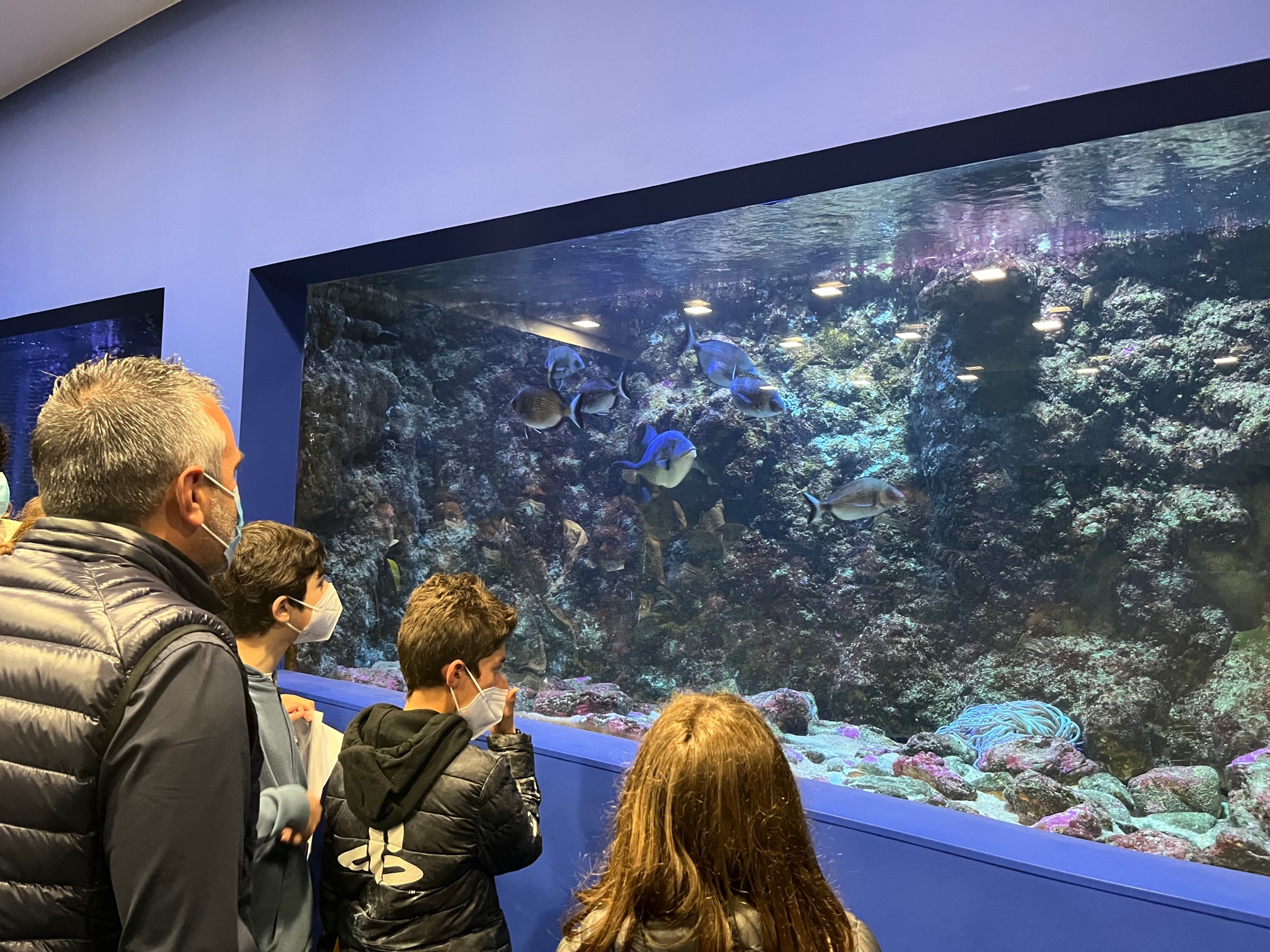 Avemu intervistatu à Antone Aiello