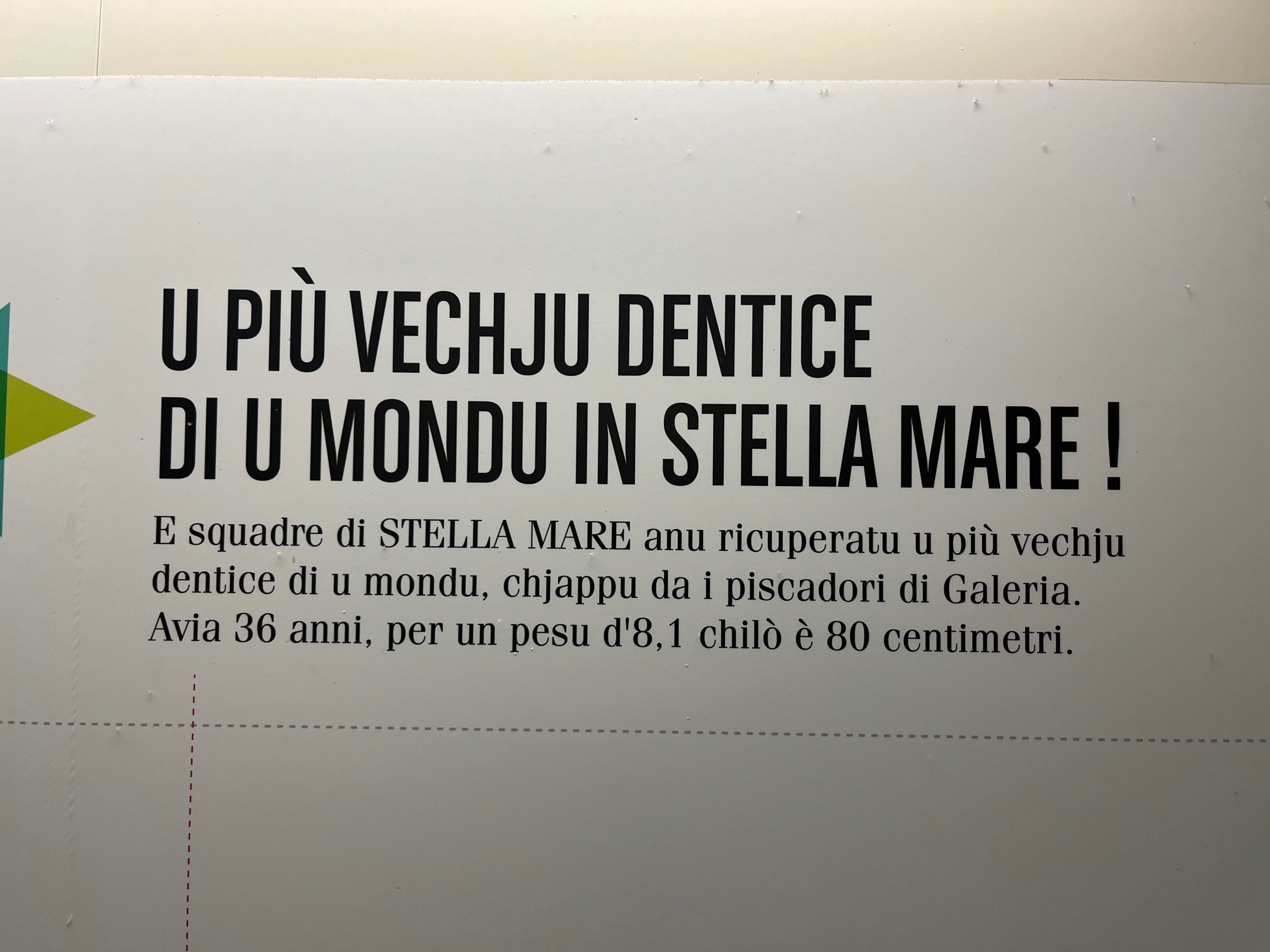 Avemu intervistatu à Antone Aiello