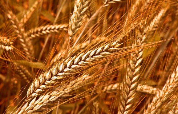 Crédits photo : En chemin vers Dieu Crédits photo : En chemin vers Dieu