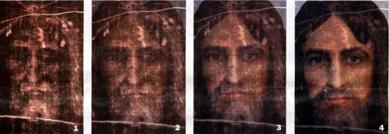 Morphologie du visage qu'on trouve imprimé sur le Saint Suaire de Turin (Domaine public)