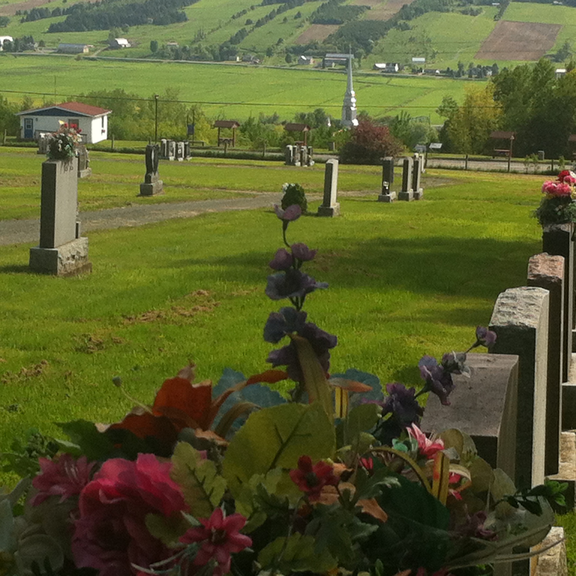 Cimetière de St-Joseph-de-Beauce (Crédits photo : H. Giguère)