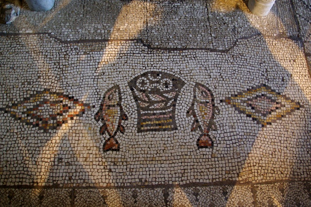 Mosaïque sous l'autel dans l'église de Tabgha en Terre Sainte (Domaine public)