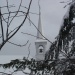 Hiver en Beauce