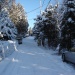 Hiver en Beauce