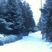 Hiver