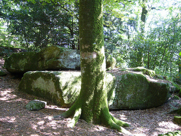 Championnats de France de Moyenne Distance : Qualifications