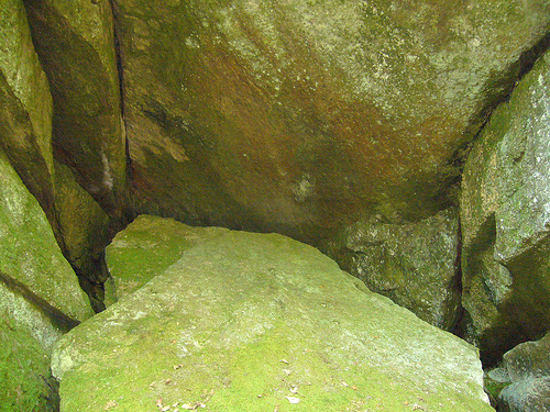 Championne de France de Moyenne Distance !