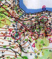 Championne de France de Longue Distance !