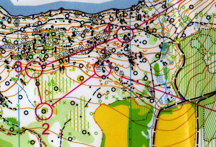 Un magnifique titre de relais pour HVO !