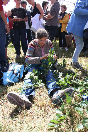Un magnifique titre de relais pour HVO !