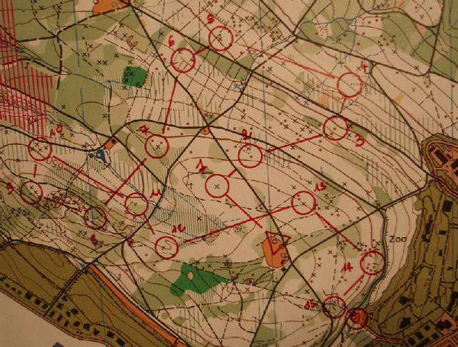 Finale de la Coupe du Monde : Moyenne Distance