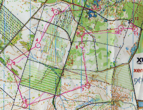 Qualification du Sprint et Championnat de France de Nuit