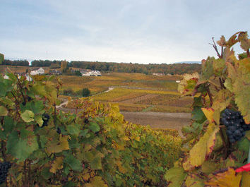 Championne de France de Sprint !