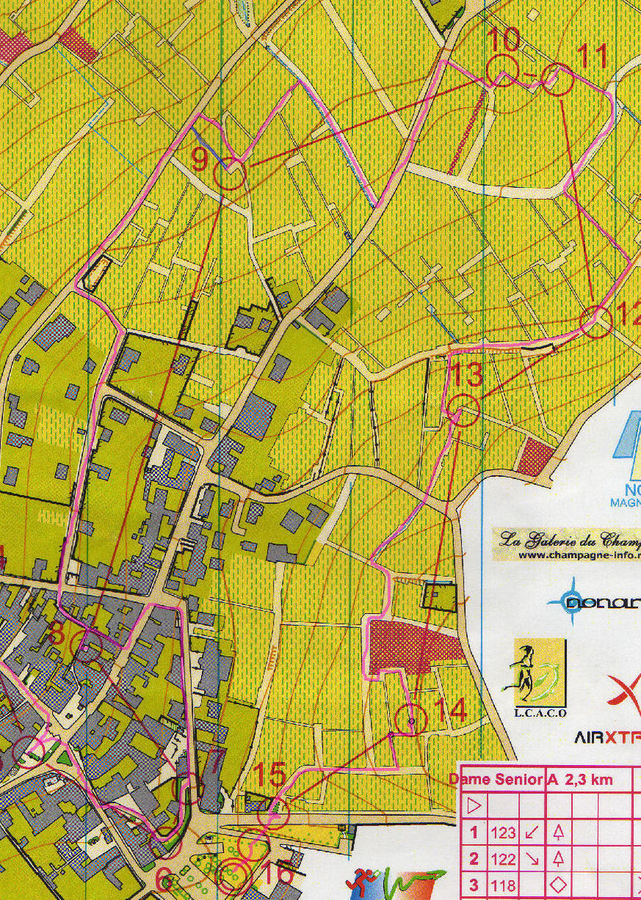 Championne de France de Sprint !