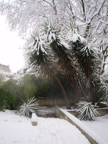 Marseille sous un joli manteau blanc...