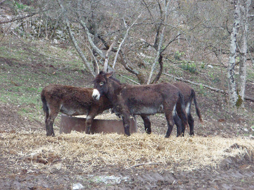 WE Haut-NIveau à Dijon