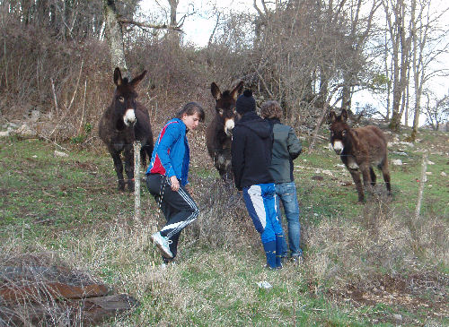 WE Haut-NIveau à Dijon