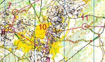 Les 3 jours de France à Fontainebleau