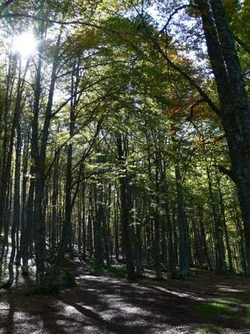 Championnats du Monde 2009 - Qualification Longue Distance