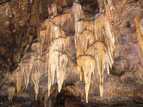 Championnats du Monde 2009 - Qualification Longue Distance