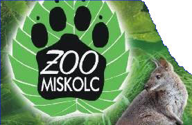 Championnats du Monde : Sprint