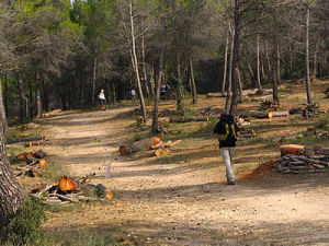 Toussaint en Provence 2009