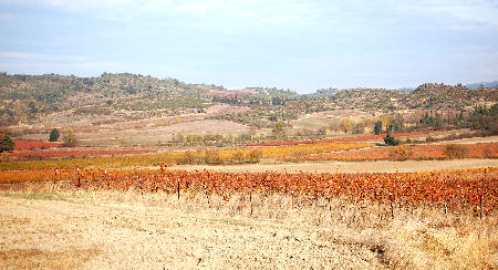ALARIC'O aux alentours de Carcassonne
