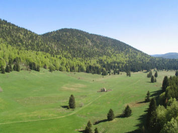 Entraînement hivernal... la saison est lancée !