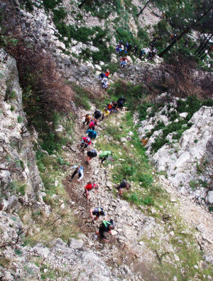 Trail de Noël à Ollioules