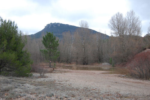 Régionale CO à Mazaugues