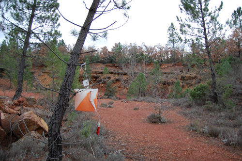 Régionale CO à Mazaugues