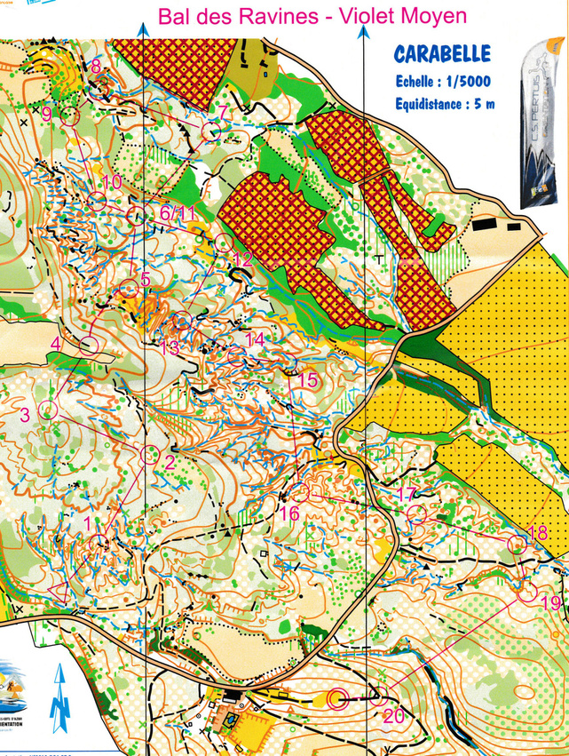 Championnat PACA de Moyenne Distance de Course d'Orientation