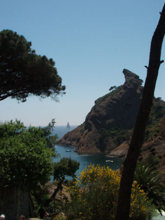 Un petit 1500m... pour la forme...