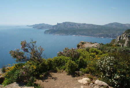 Un petit 1500m... pour la forme...