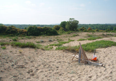 Championnats d'Europe : 8ème au sprint !