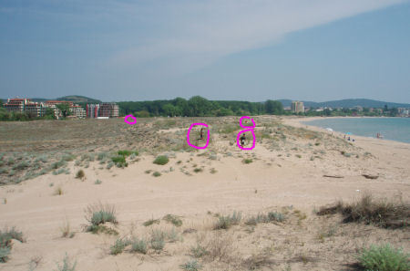 Championnats d'Europe : 8ème au sprint !