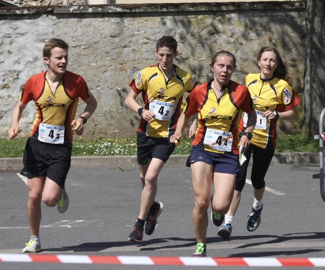 Championnat de France de Relais Sprint