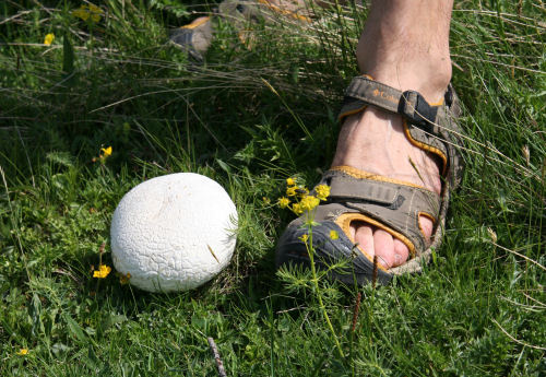 Un petit WE vers Gap...