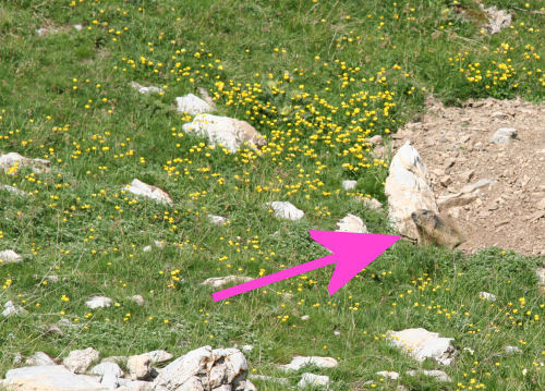 Un petit WE vers Gap...