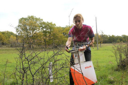 Championnat de France de Sprint