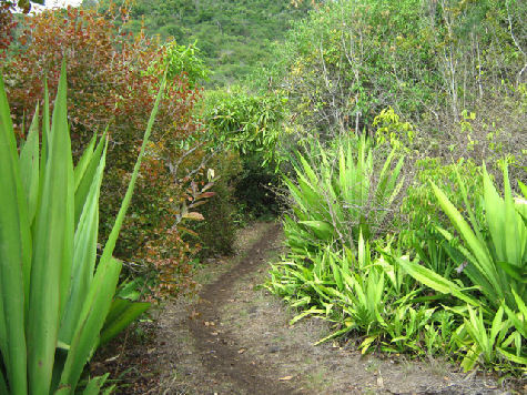 C'était mon premier Ultra-Trail...