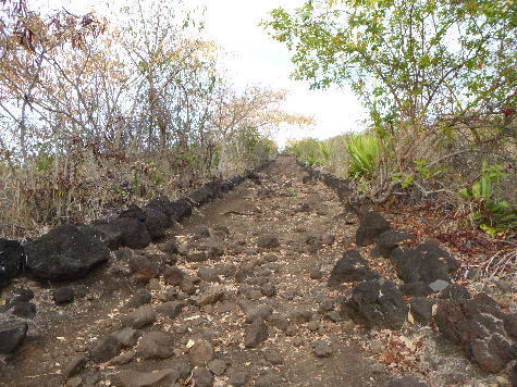 C'était mon premier Ultra-Trail...