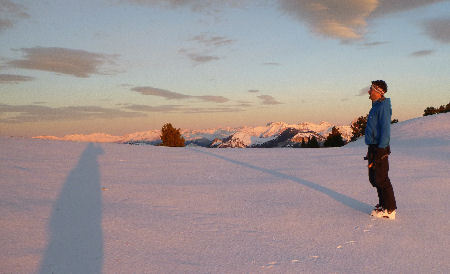 Retour aux sources...