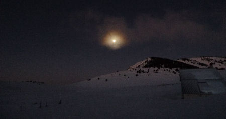 Retour aux sources...