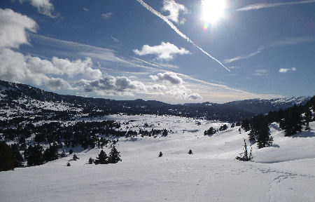 Retour aux sources...