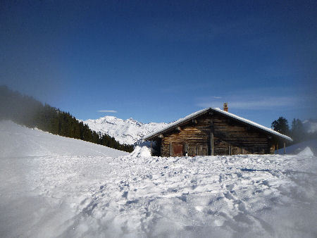 Retour aux sources...