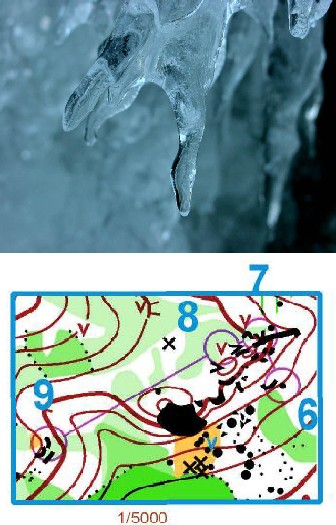 Orientation hivernale à Mulhouse